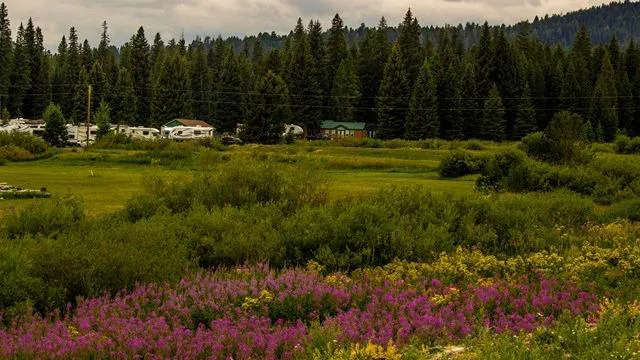 Yellowstone Park / Mountainside KOA Journey Picture 2