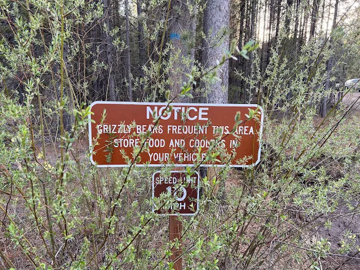 Rainbow Point Campground Picture 3