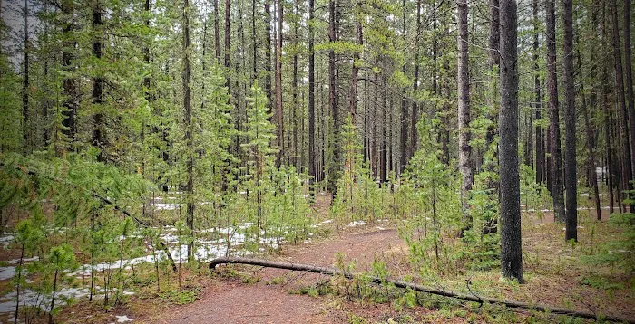 Rainbow Point Campground Picture 7