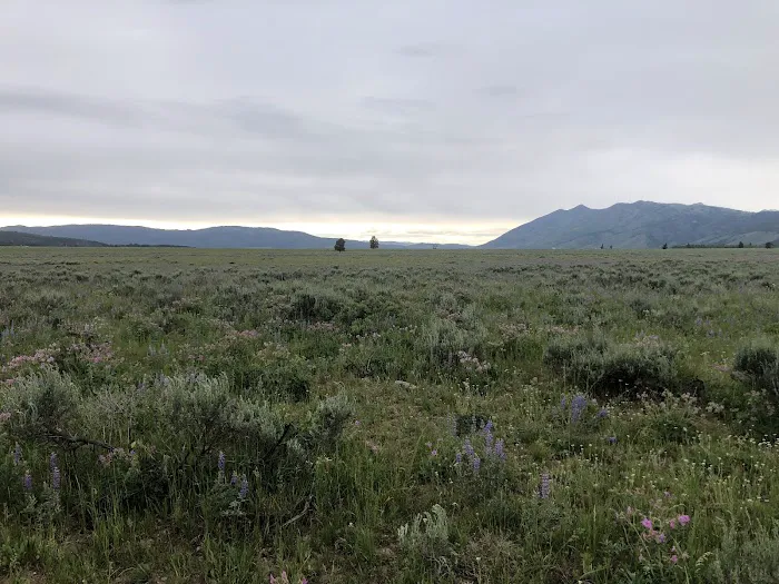 Wander Camp Yellowstone Picture 7