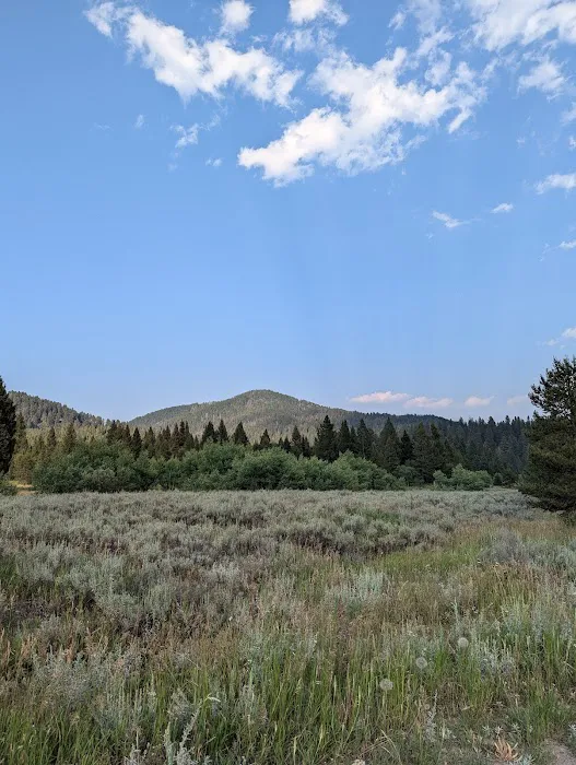 Cottonwood Creek Picture 4