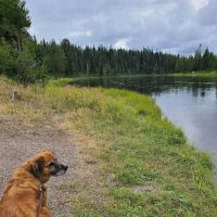 Upper Coffeepot Campground ico