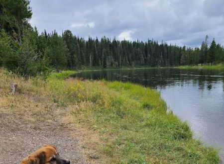 Upper Coffeepot Campground