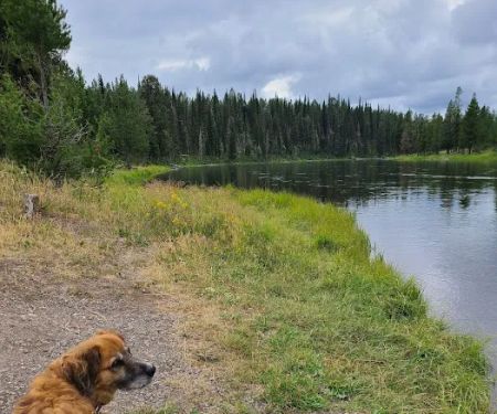 Upper Coffeepot Campground