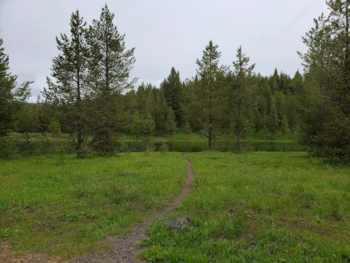 Upper Coffeepot Campground Picture 8