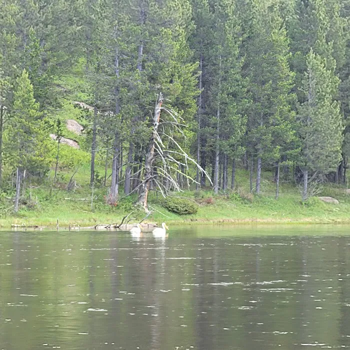 Upper Coffeepot Campground Picture 5