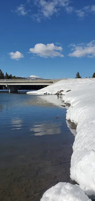 McCrea Bridge Campground Picture 7