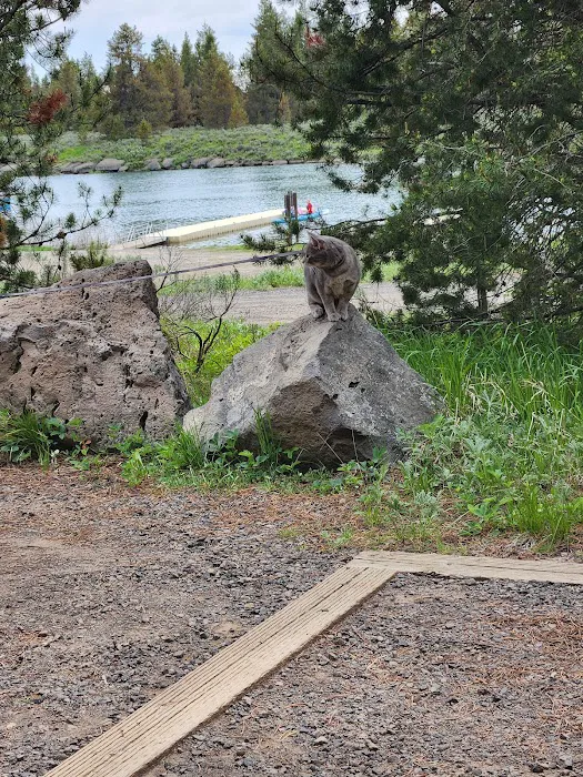 McCrea Bridge Campground Picture 4