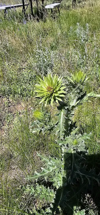 Flat Rock (Idaho) Picture 5