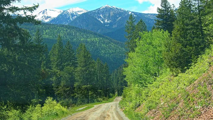 Snowbank Campground Picture 2