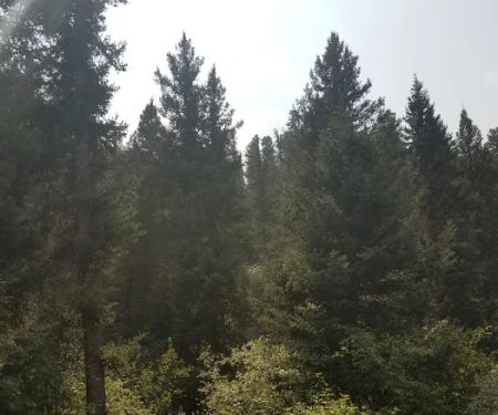 Snowbank Campground