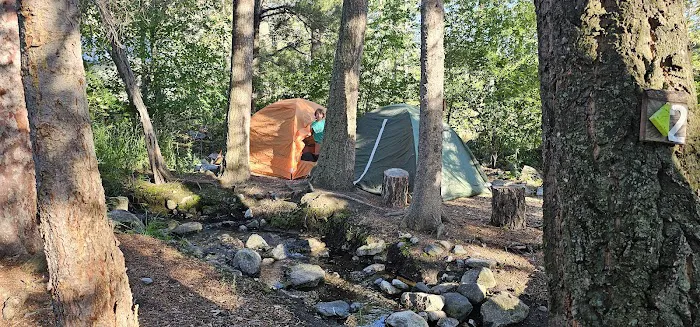 Jammin Jackalope Camping Picture 5