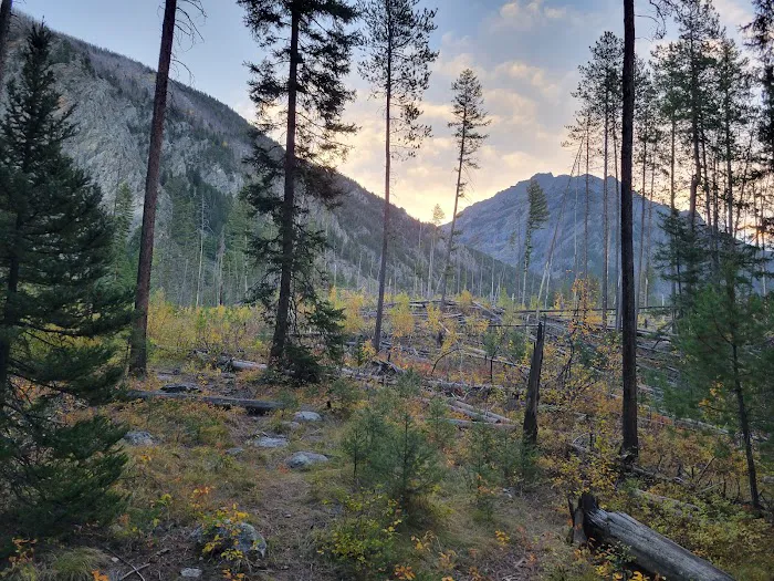 Pine Creek Campground Picture 6
