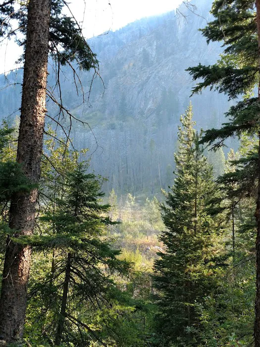 Pine Creek Campground Picture 8