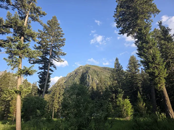 Pine Creek Campground Picture 9