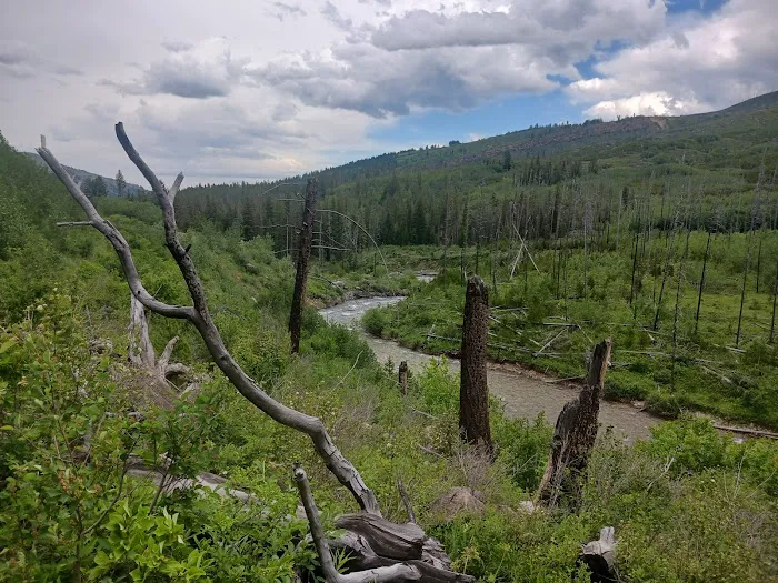 West Boulder Campground Picture 7