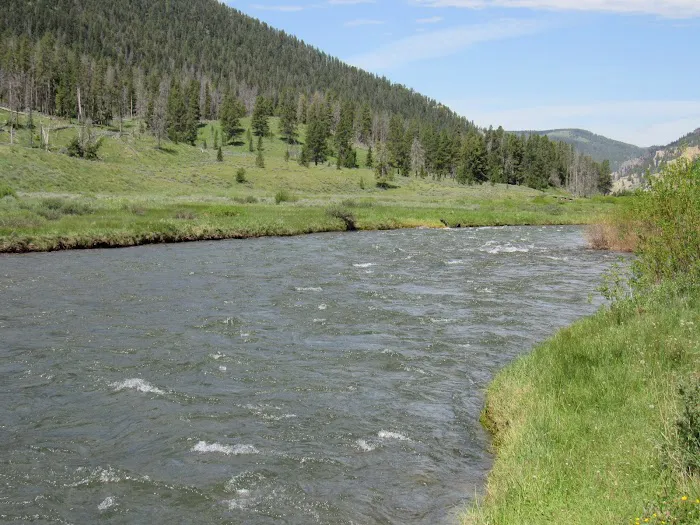 Gallatin River Picture 1