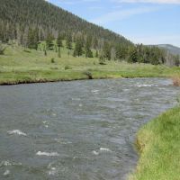 Gallatin River ico
