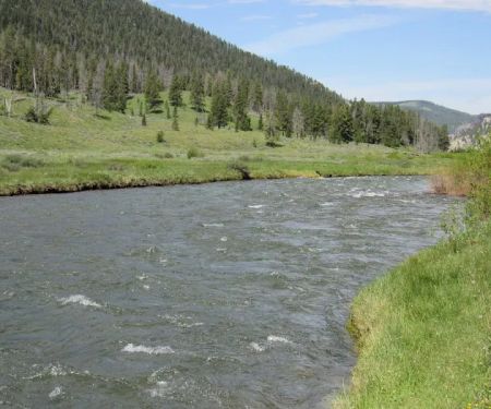 Gallatin River