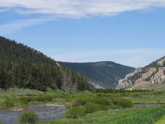 Gallatin River Picture 2