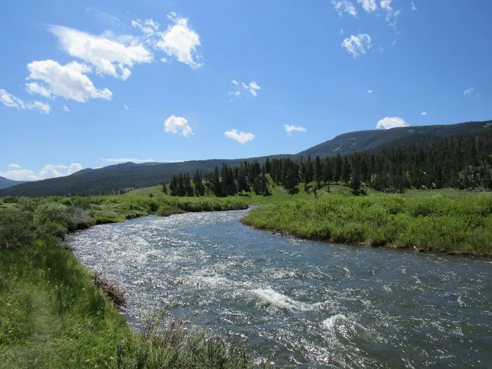 Gallatin River Picture 5
