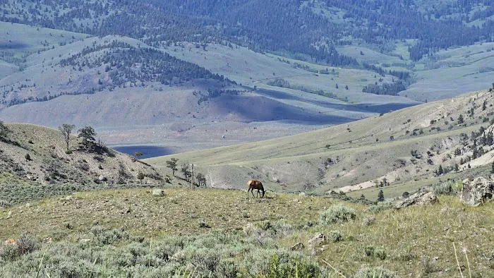 Gardner River Picture 1