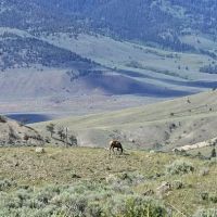 Gardner River ico