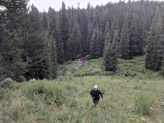 Gardner River Picture 8