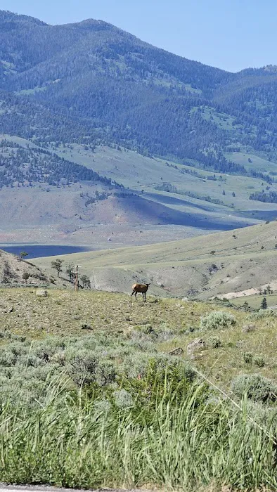 Gardner River Picture 10