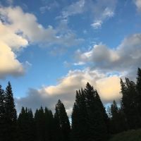 Fawn Lake 1F2 ico