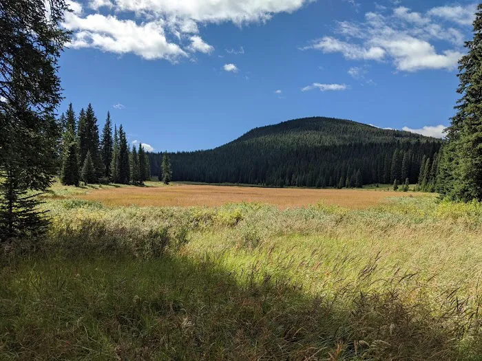 Fawn Lake 1F2 Picture 3