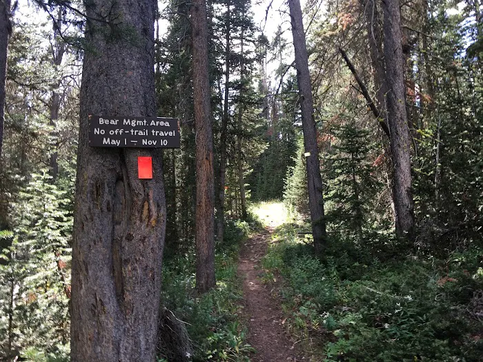 Fawn Lake 1F2 Picture 4