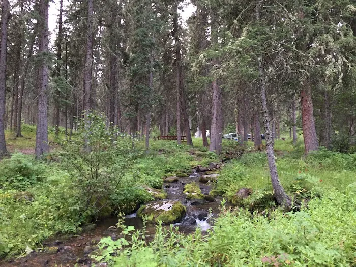 Grasshopper Campground Picture 7