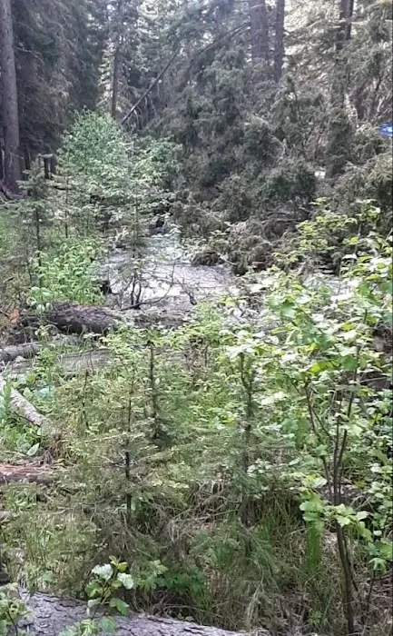 Richardson Campground Picture 3