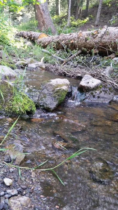 Richardson Campground Picture 5