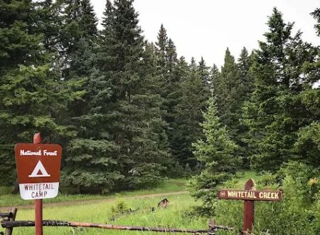 Whitetail Camp Campground