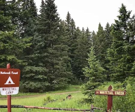 Whitetail Camp Campground
