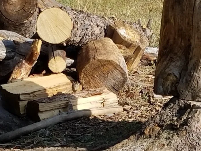 Spring Creek Campground Picture 2