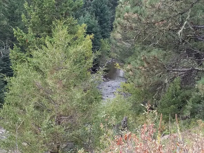 Spring Creek Campground Picture 1