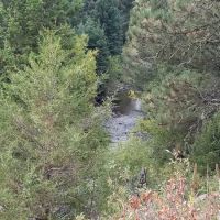 Spring Creek Campground ico