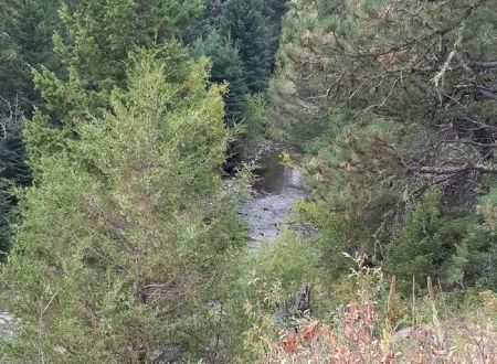 Spring Creek Campground