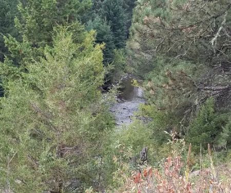 Spring Creek Campground