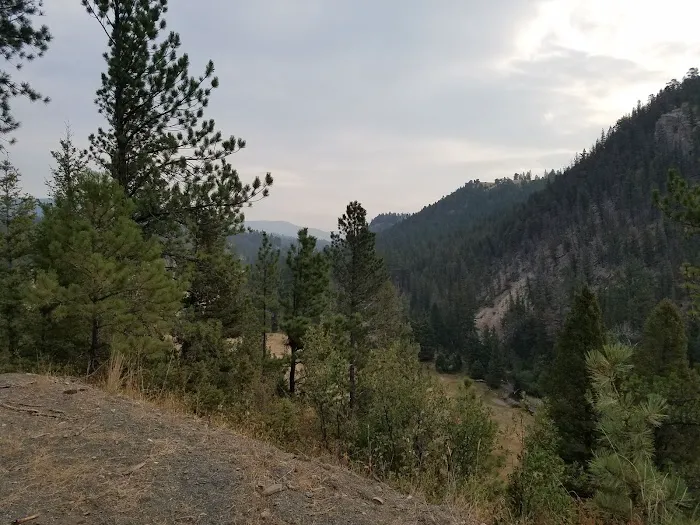 Spring Creek Campground Picture 3
