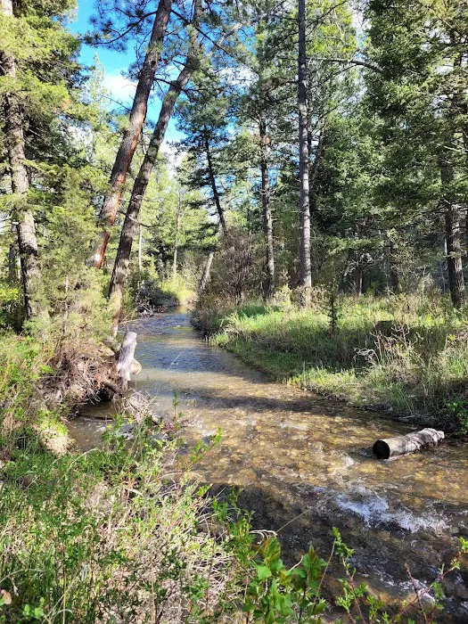 Spring Creek Campground Picture 7