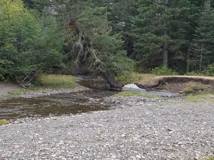 Spring Creek Campground Picture 9