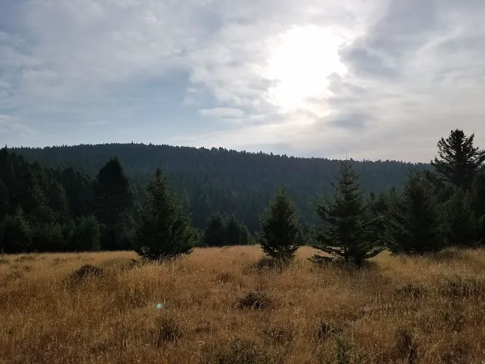 Spring Creek Campground Picture 4