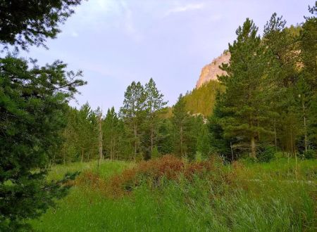 Indian Hill Campground