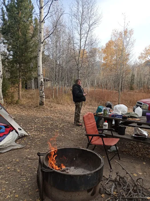 North Fork Campground Picture 4