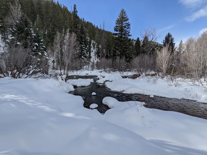 North Fork Campground Picture 6