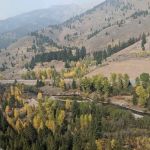 Wood River Campground